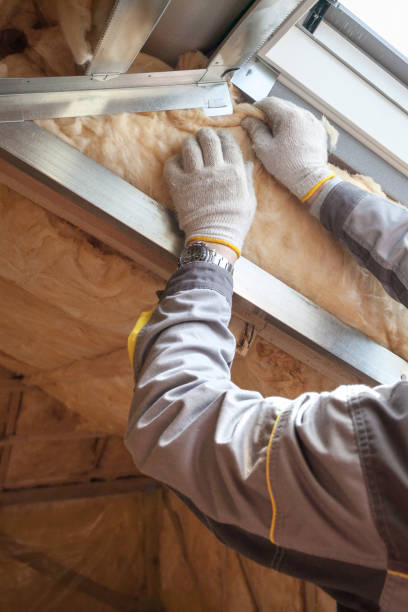 Insulation Inspection Services in Ferguson, MO